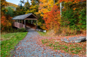 The Windham Path Hiking Trails Catskills NY