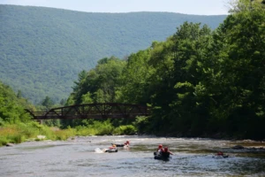Esopus Creek