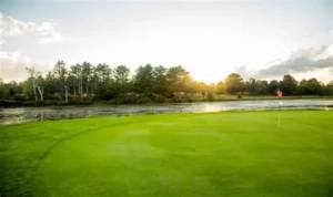Island green golf