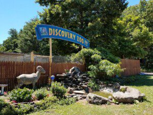 bailiwick animal park bailiwick animal park