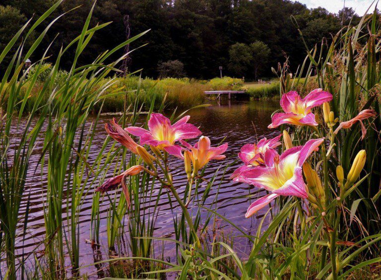catskillsflowerbarn